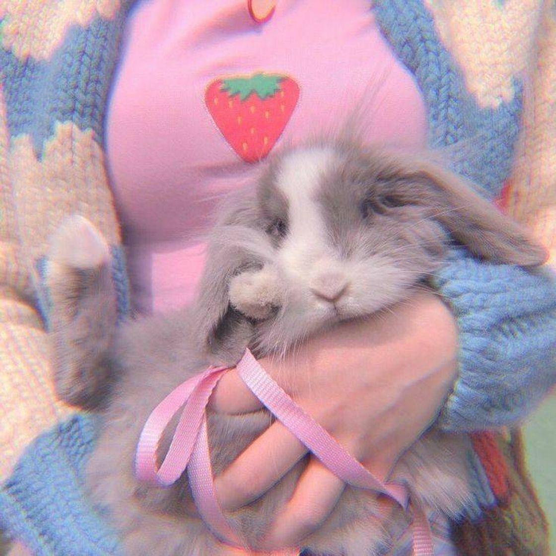 Fashion 🐰🐇💛