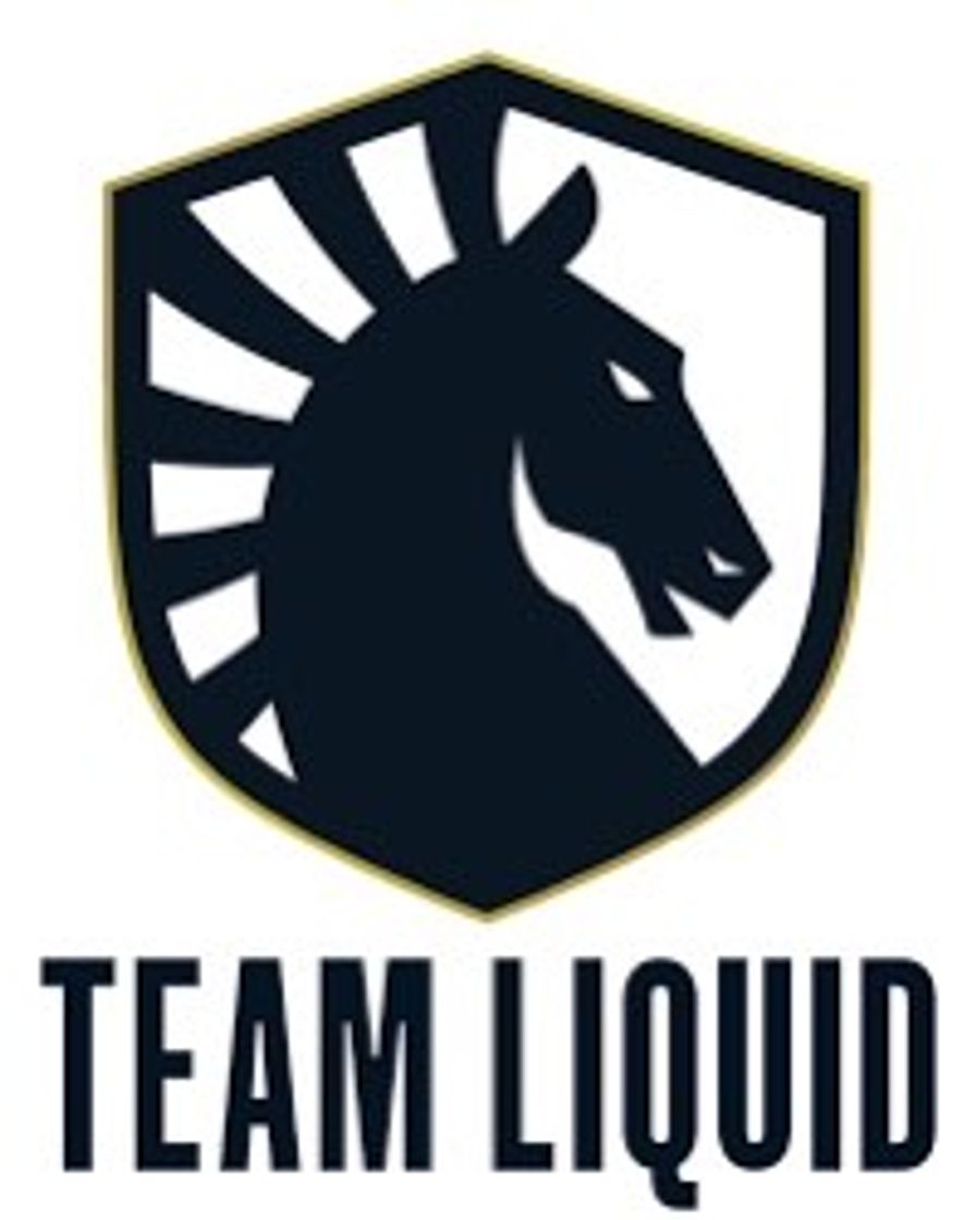 Moda Liquid team overview 