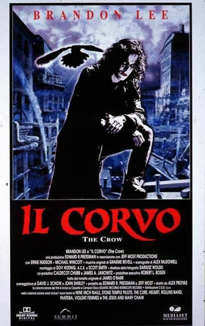 Social O Corvo