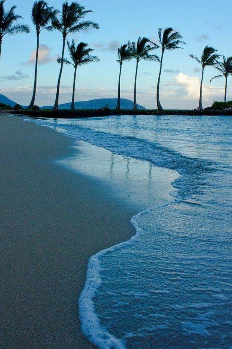 Social Lanikai Beach