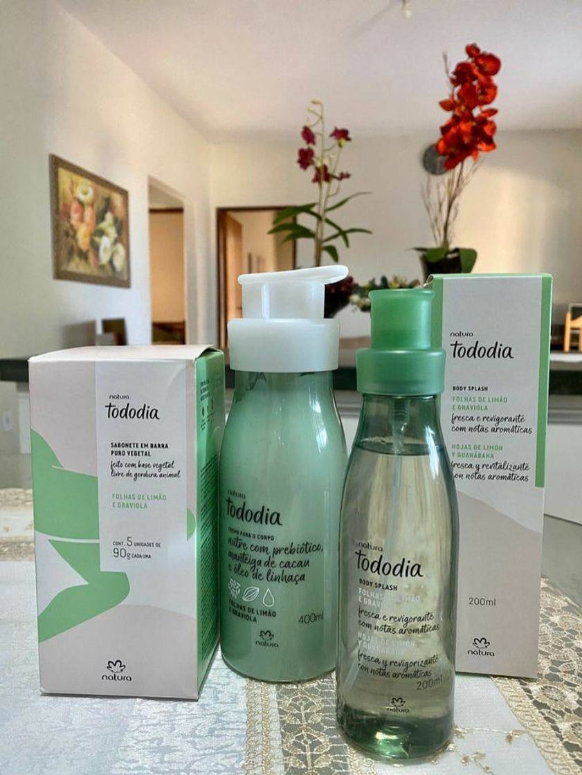 Social Folhas de Limão Todo dia