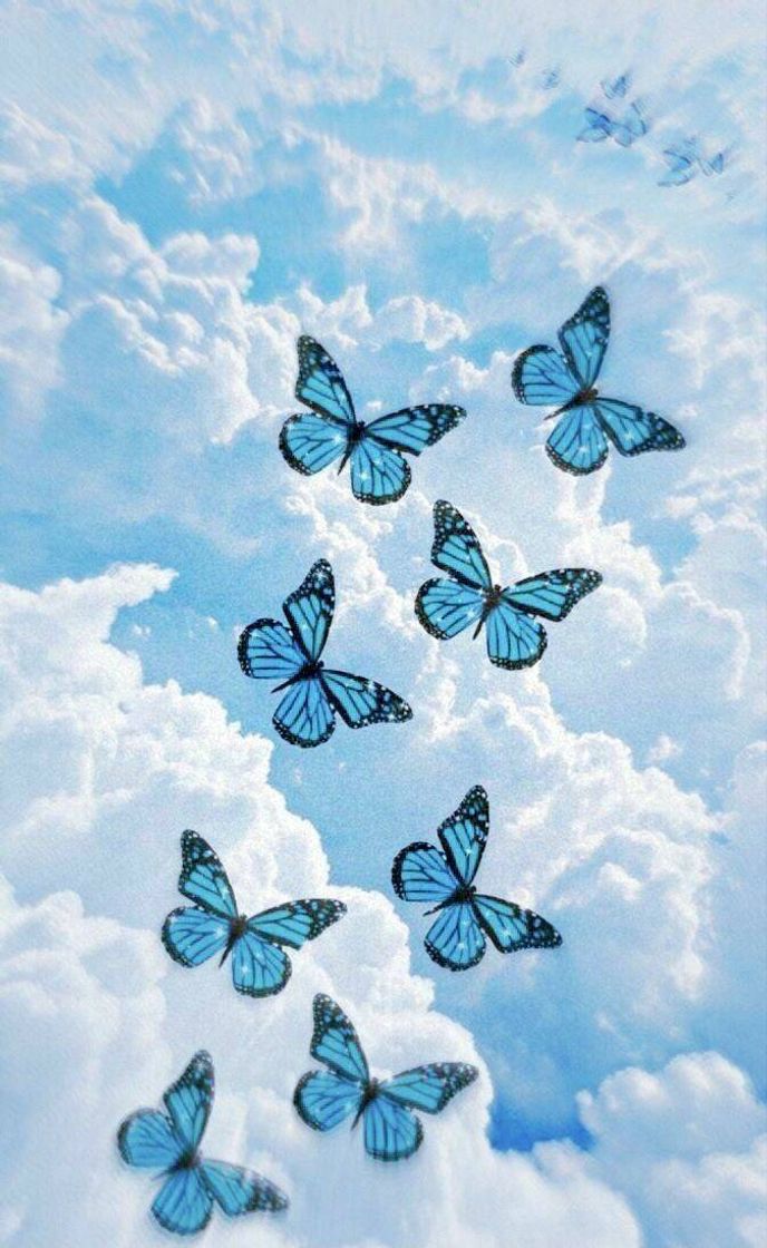 Social Wallpaper de borboleta