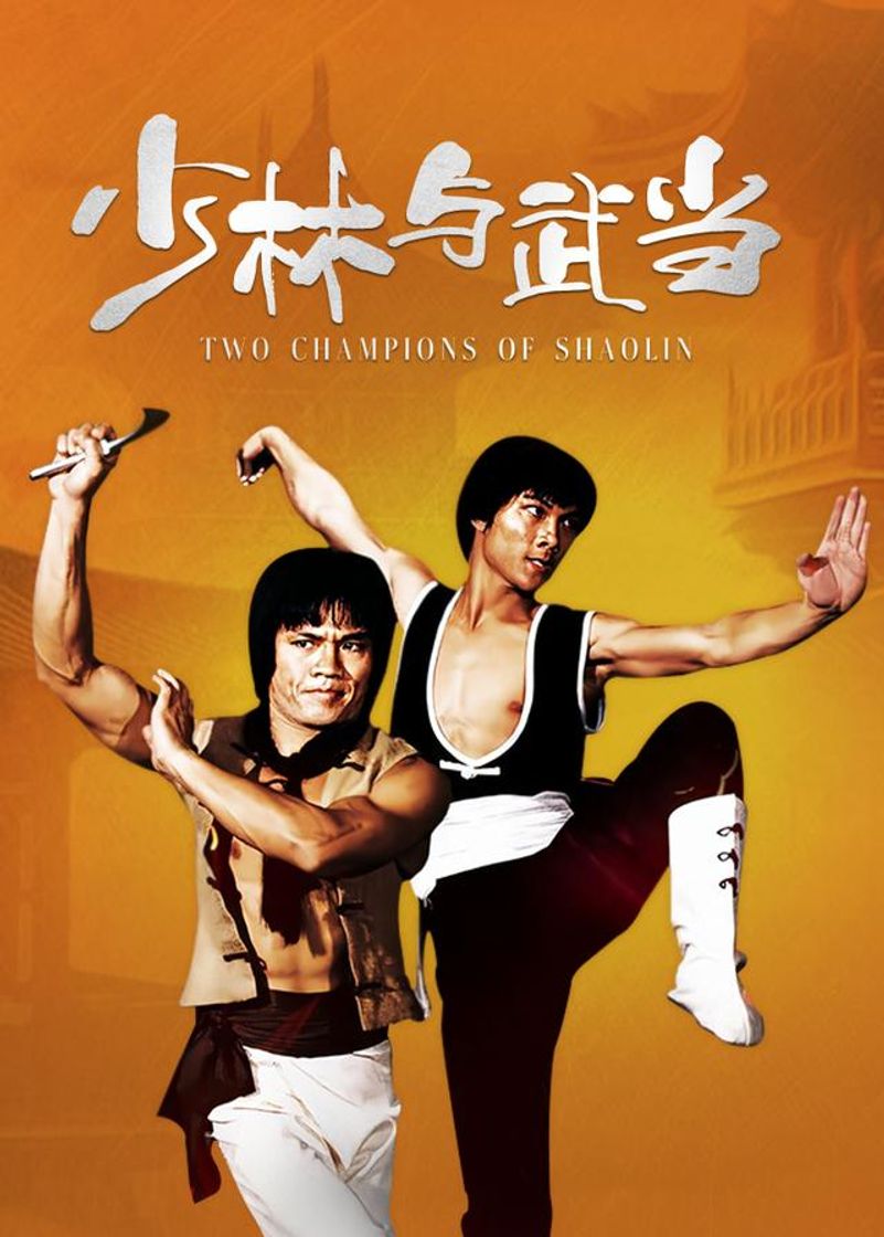 Movie Los dos campeones del Shaolin