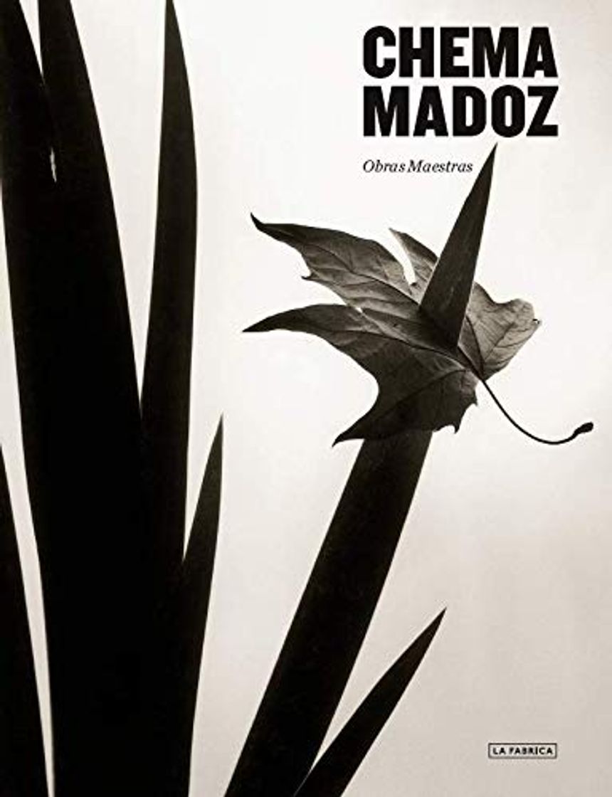 Libros Chema Madoz