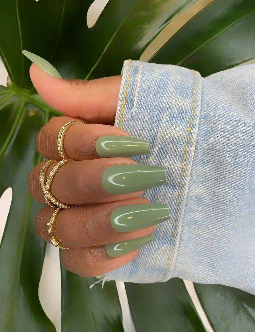 Fashion Green🌿