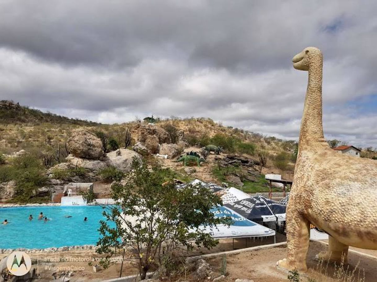 Moda Parque dos dinossauros em parelhas RN 