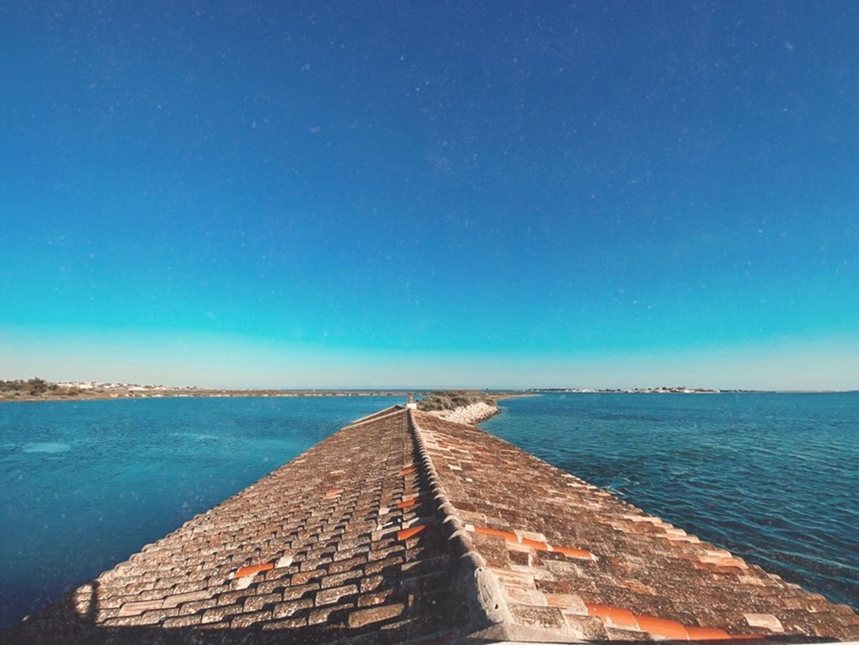 Lugar Ria Formosa Natural Park