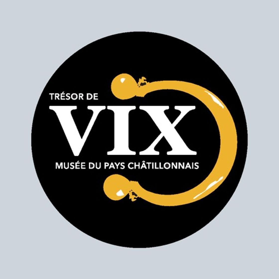 Apps The Vix Treasure Museum Guide