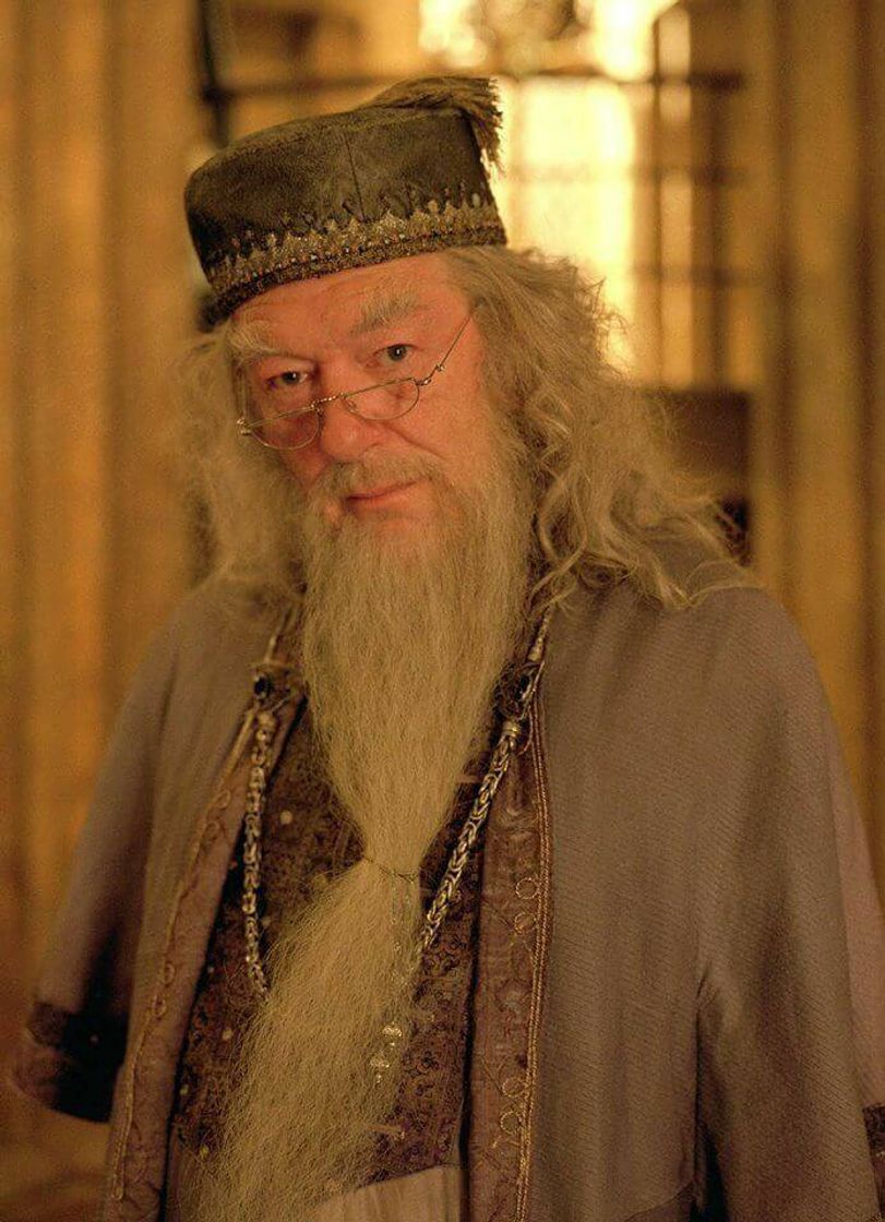 Fashion Dumbledore