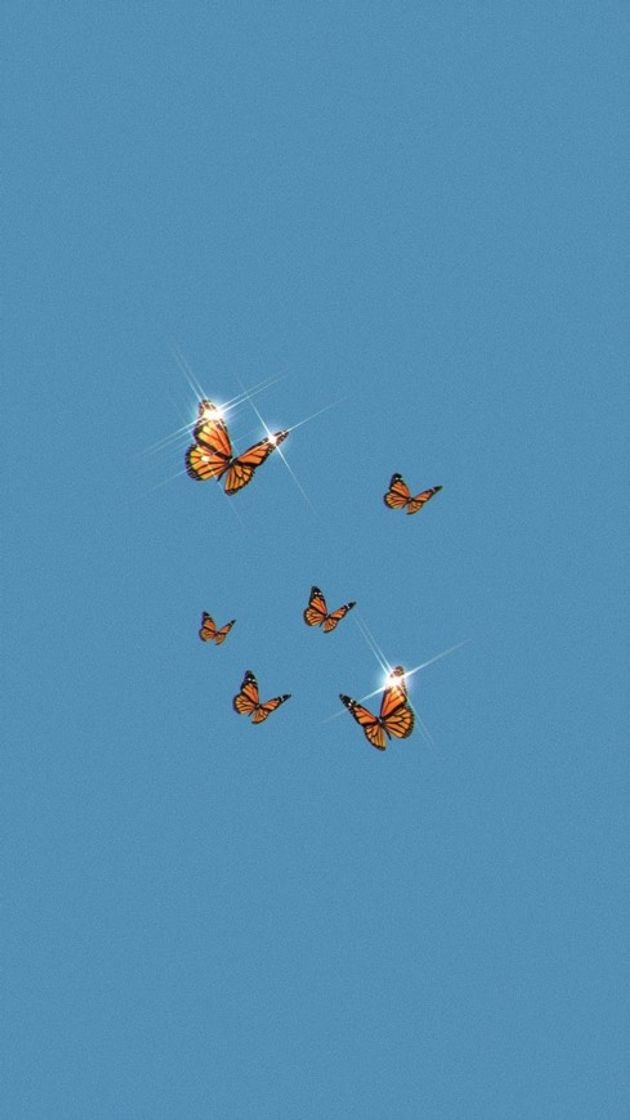 wallpaper 🦋