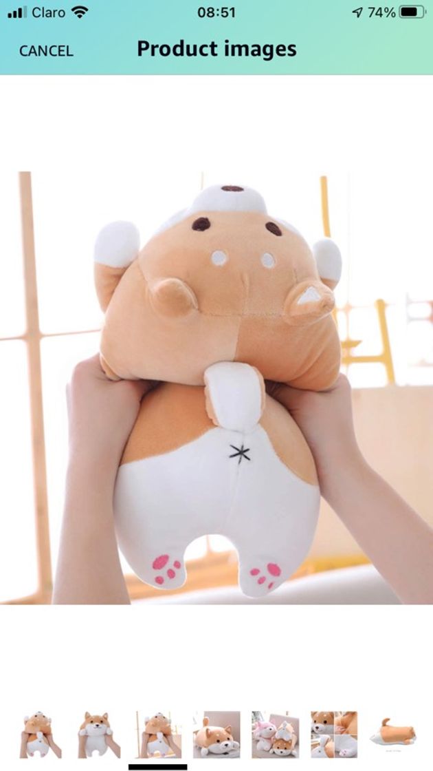 Moda Corgi plush 🥺🥺🥺