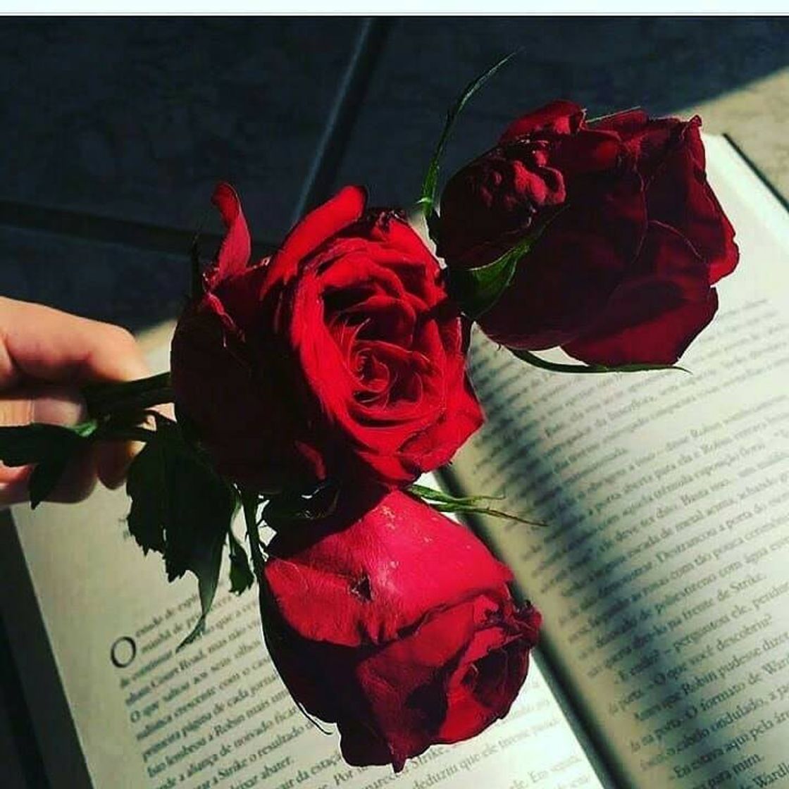 Social Feed vermelho 