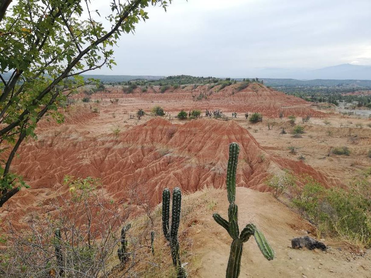 Place Desierto de la Tatacoa