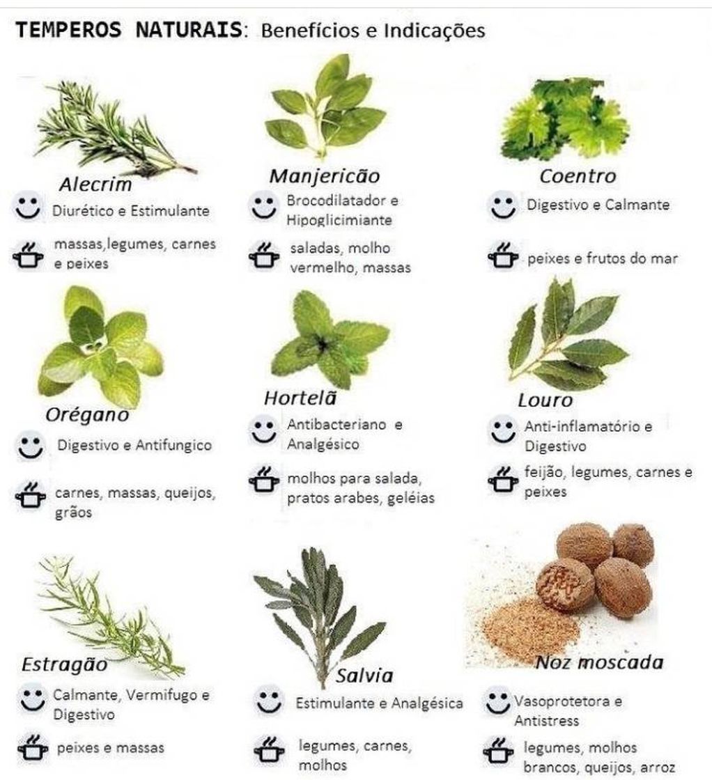 Moda Temperos naturais e seus benefícios 🌱