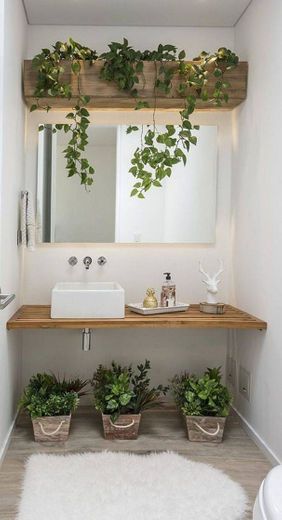 Decoração de banheiro com plantinhas 🌱