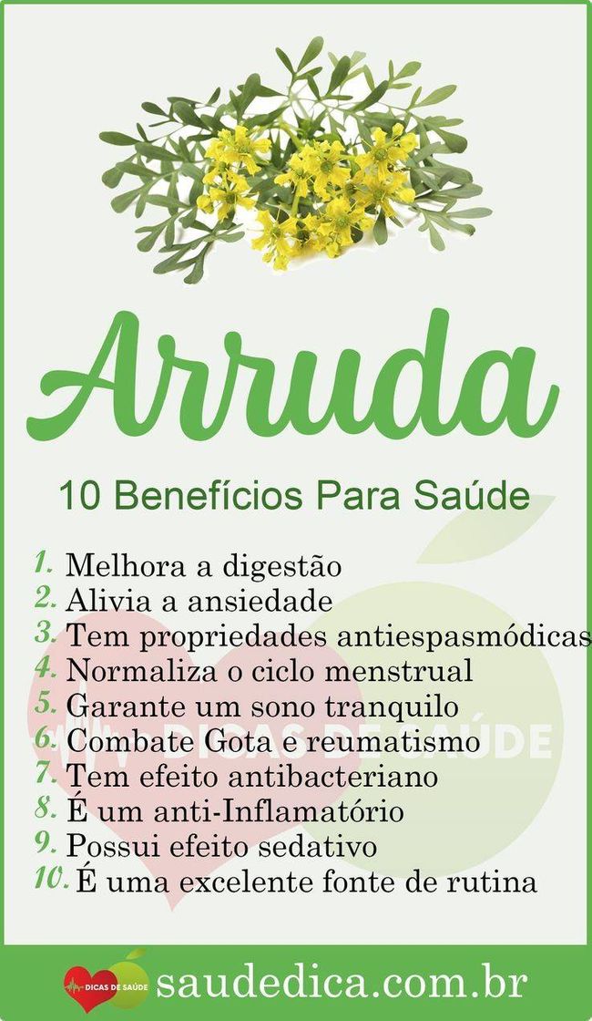 Moda Os benefícios da arruda