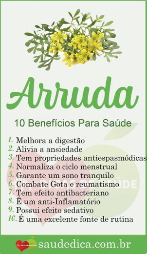 Os benefícios da arruda