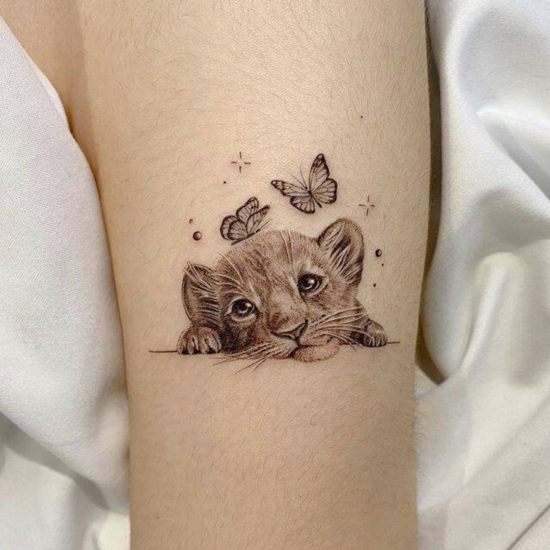 Social Fofo! 🐱🐱