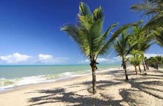 Prado, na Bahia: principais praias e atrativos deste paraíso ...