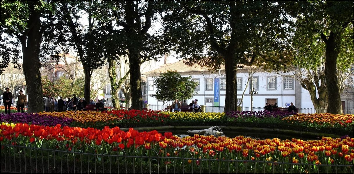 Place Jardim de Marques de Oliveira