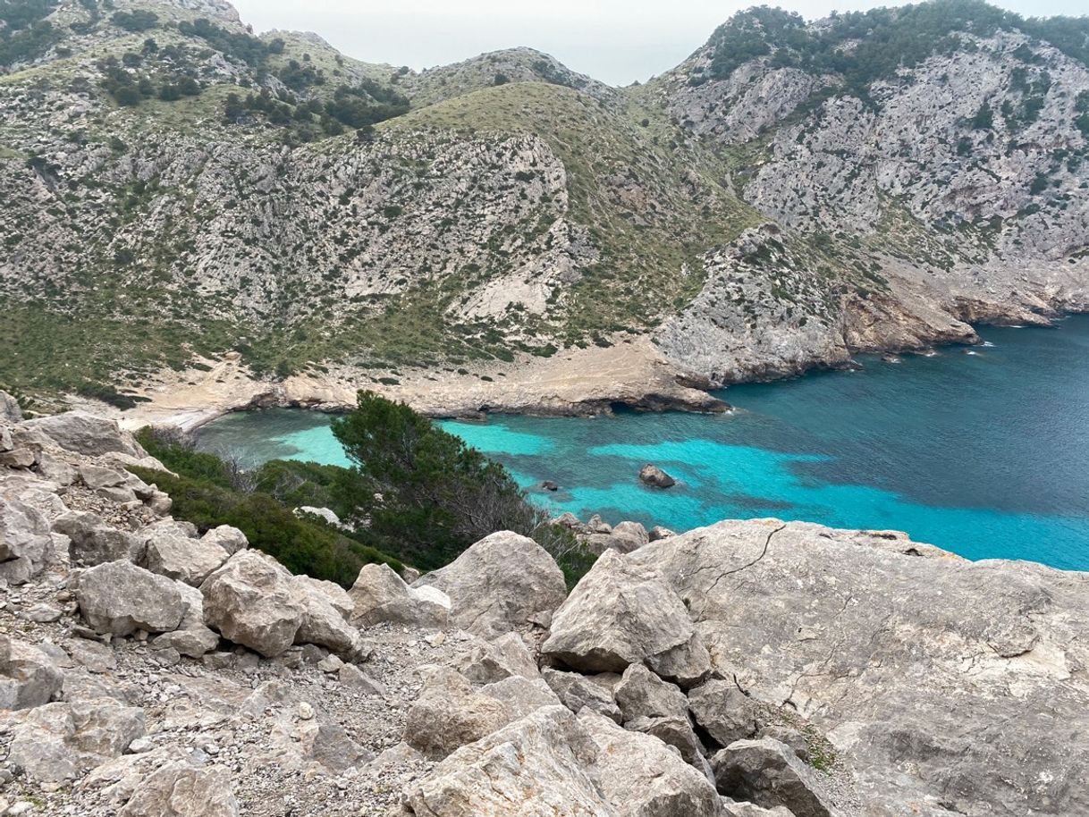 Social Cala Figuera - Formentor