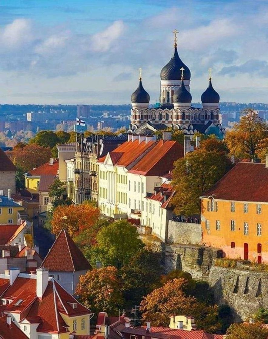 Lugar Tallinn