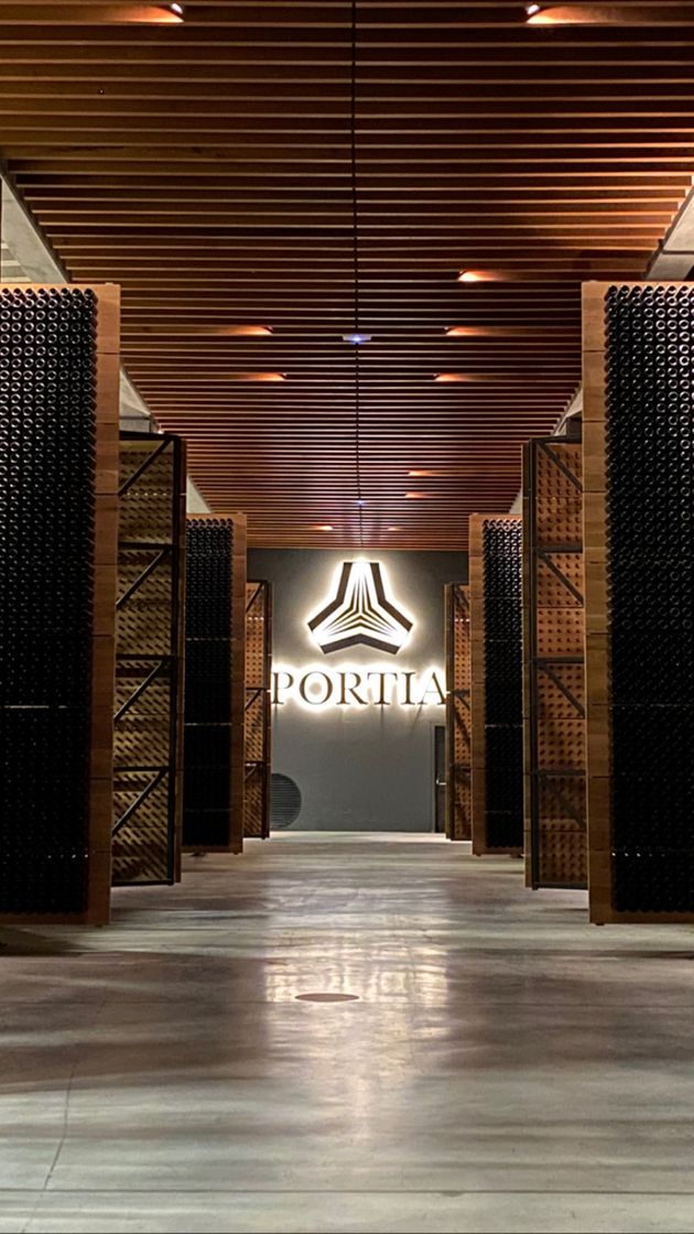 Lugar Bodegas Portia - Ribera del Duero