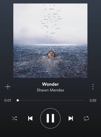 Wonder - Shawn Mendes