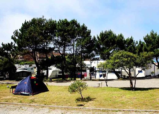 PARQUE DE CAMPISMO DE SALGUEIROS