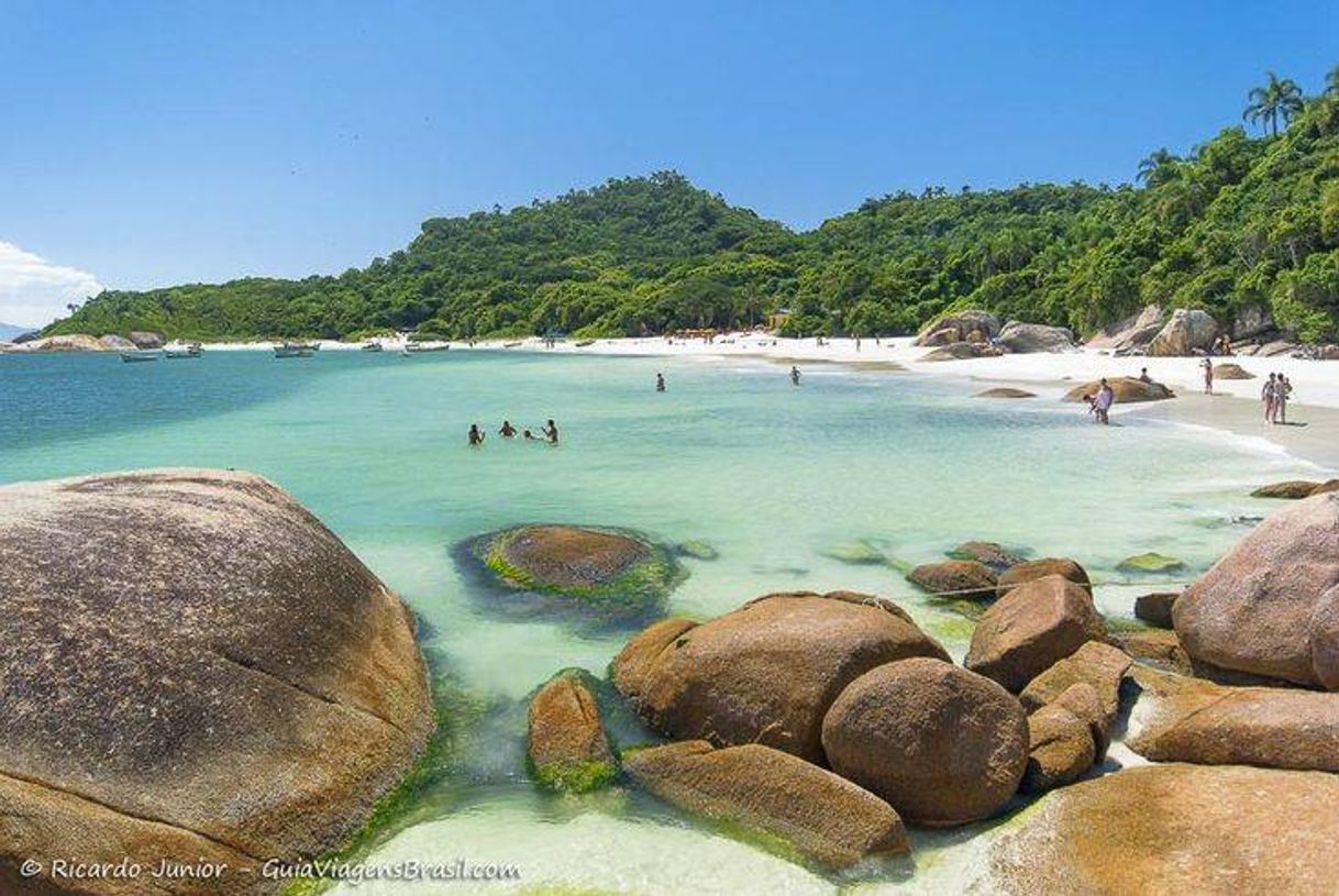 Place Playa de Joaquina