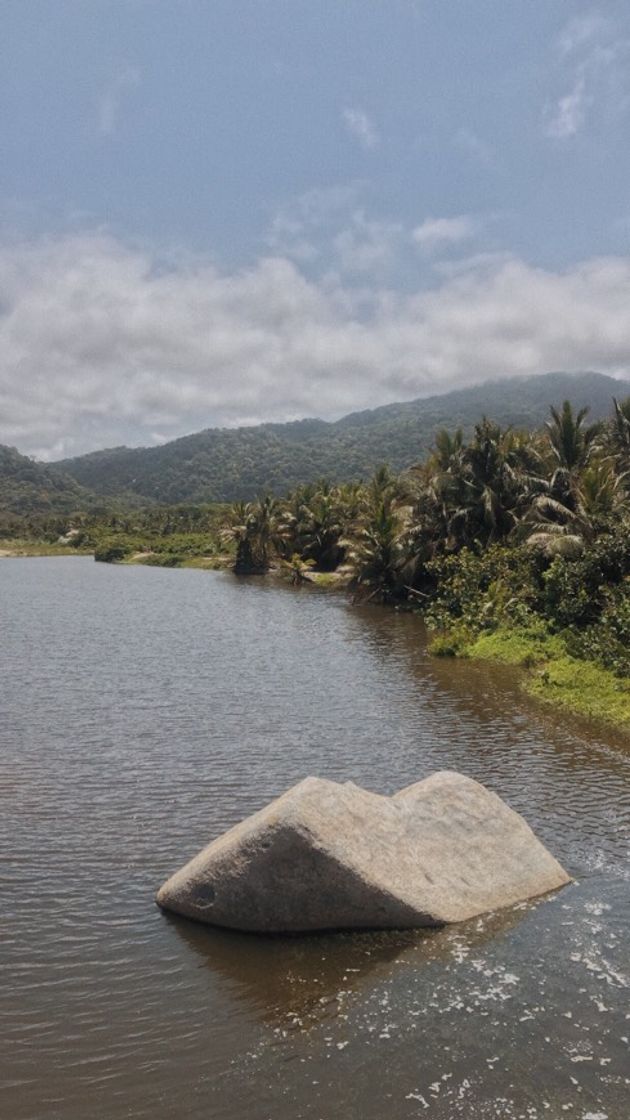 Lugar Parque Tayrona