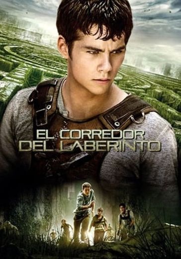 The Maze Runner