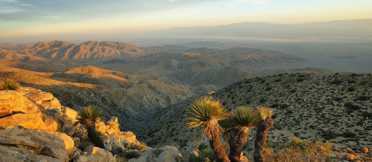 Place Joshua Tree National Park