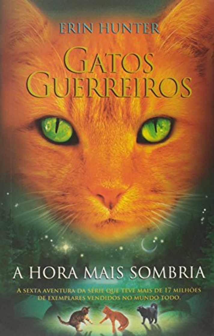 Book Gatos Guerreiros