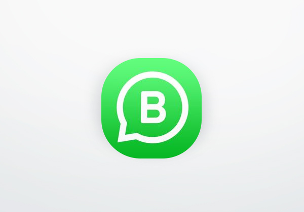 Aplicación WhatsApp Business