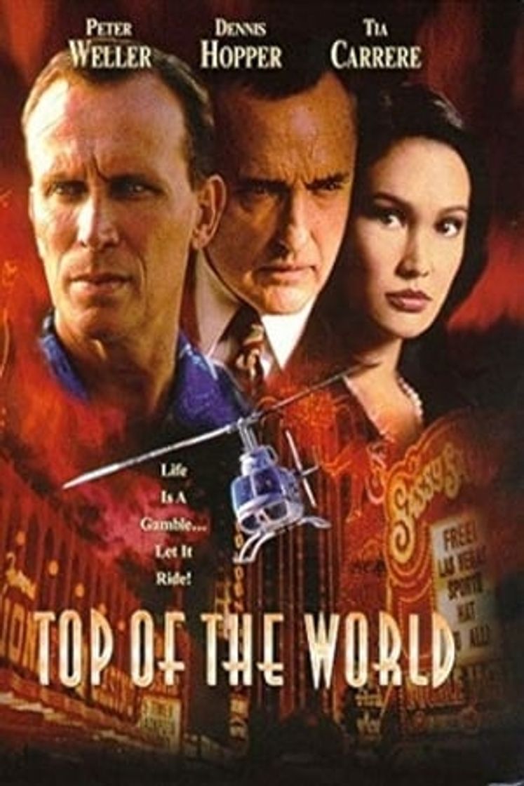 Película La Ciudad Del Crimen