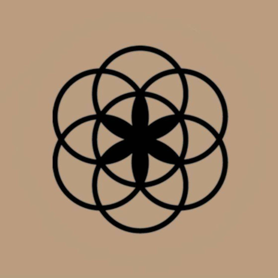 App Clue Period & Cycle Tracker