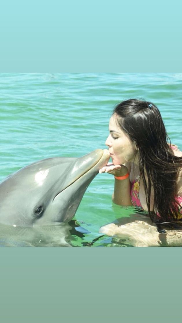 Lugar Dolphin Discovery Punta Cana