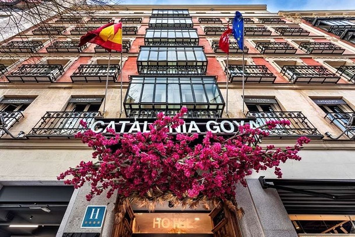 Lugar Hotel Catalonia Goya