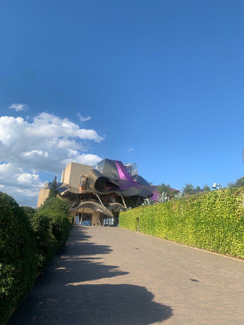 Lugar Bodegas de los Herederos del Marqués de Riscal S.L.