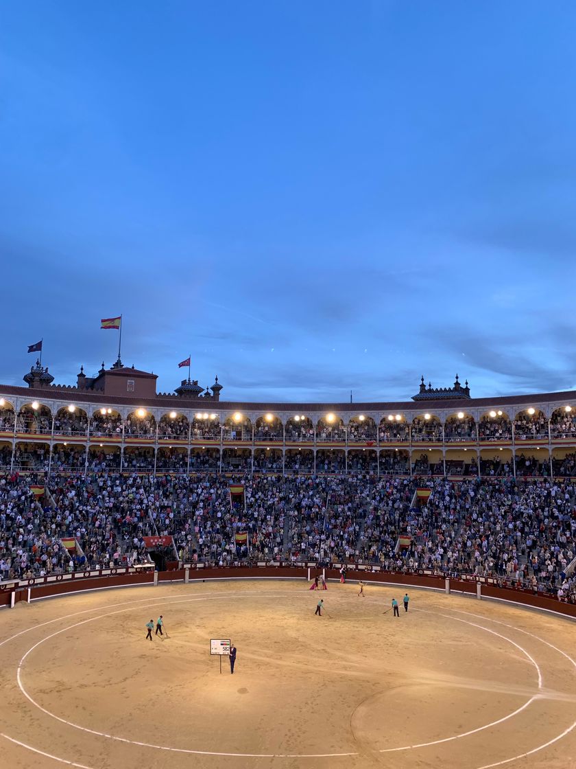 Place Plaza de Toros de Las Ventas