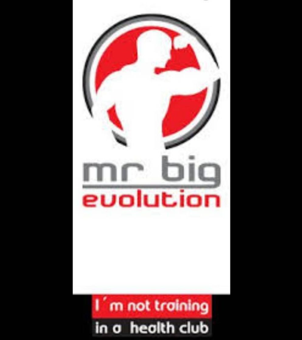 Place Mr. Big Evolution