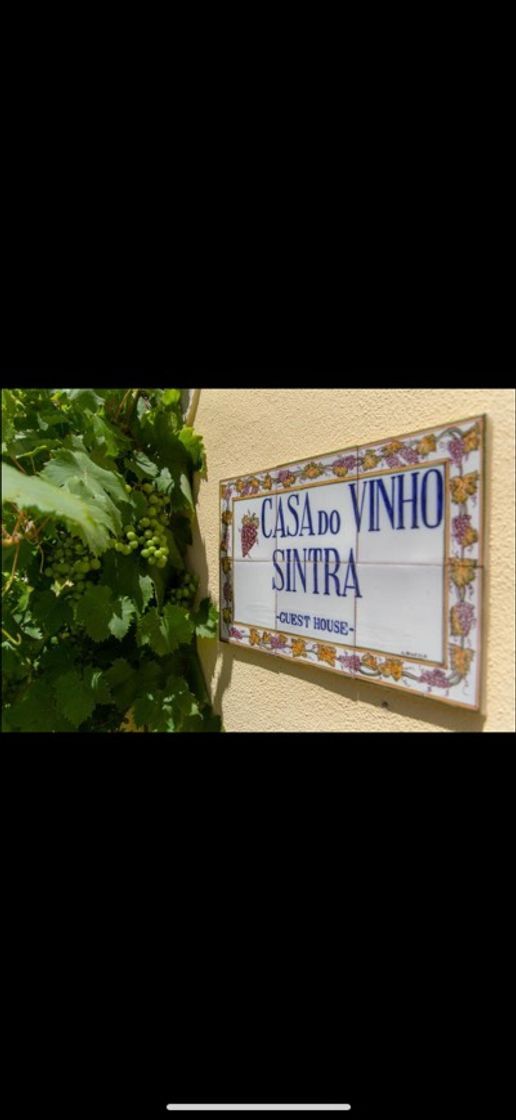 Lugar Casa do Vinho Sintra Guesthouse