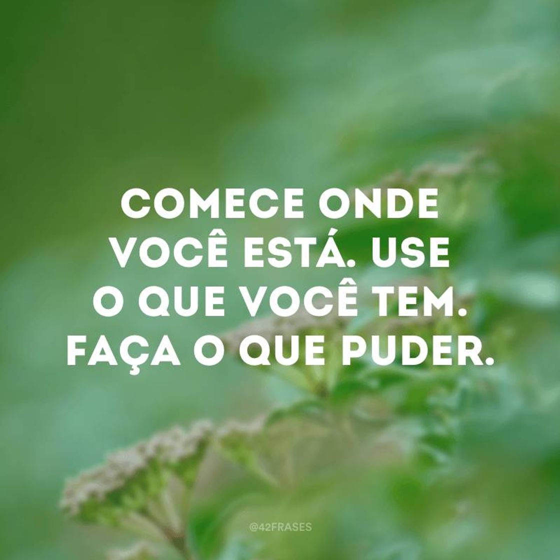 Fashion Frase motivação