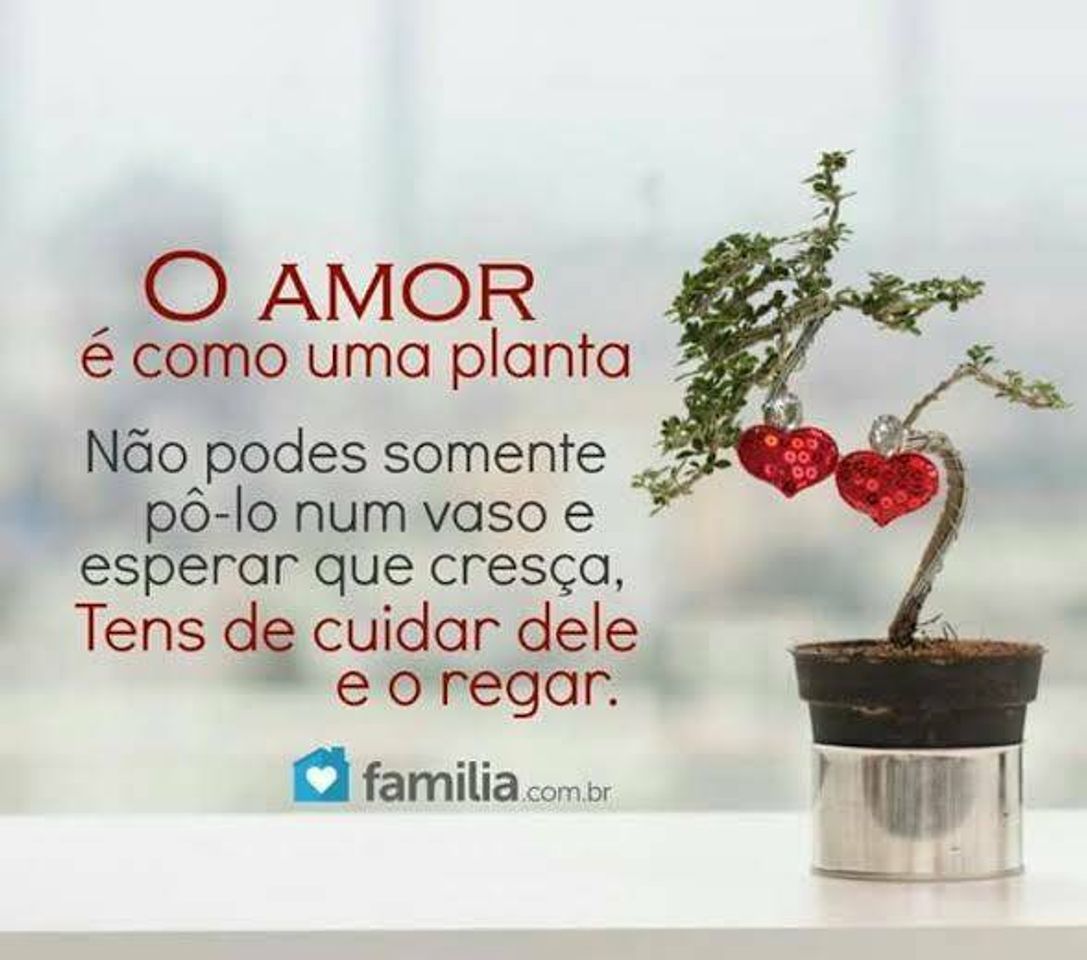 Moda O amor é como uma planta 💖