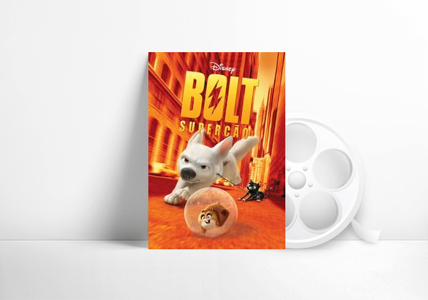 Bolt