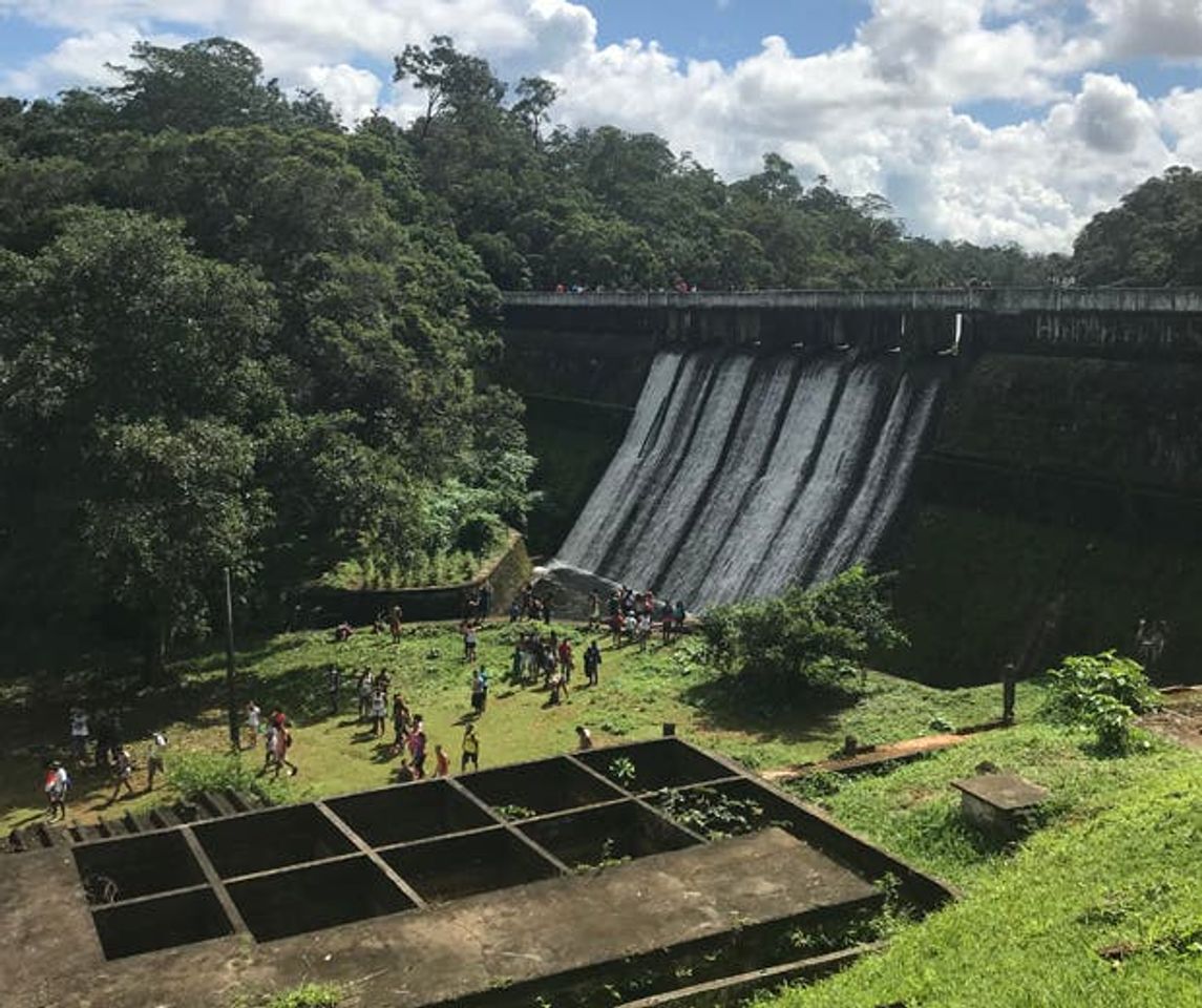 Lugar Parque São Bartolomeu