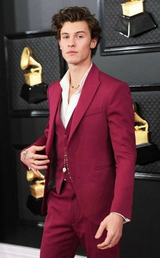 Grammy Awards Red Carpet 2020