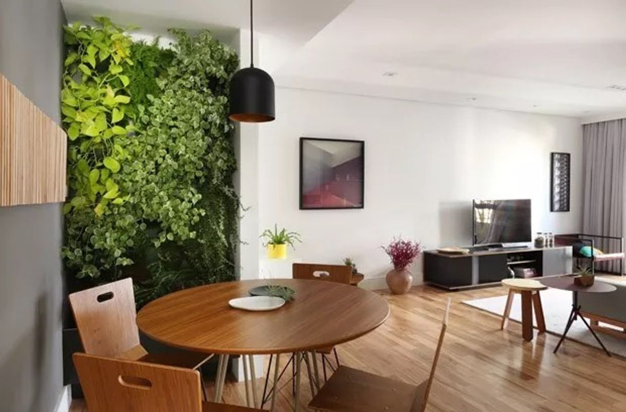 Social Jardim Vertical 