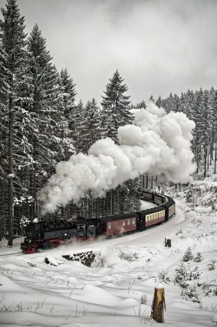 Social hermoso paisaje